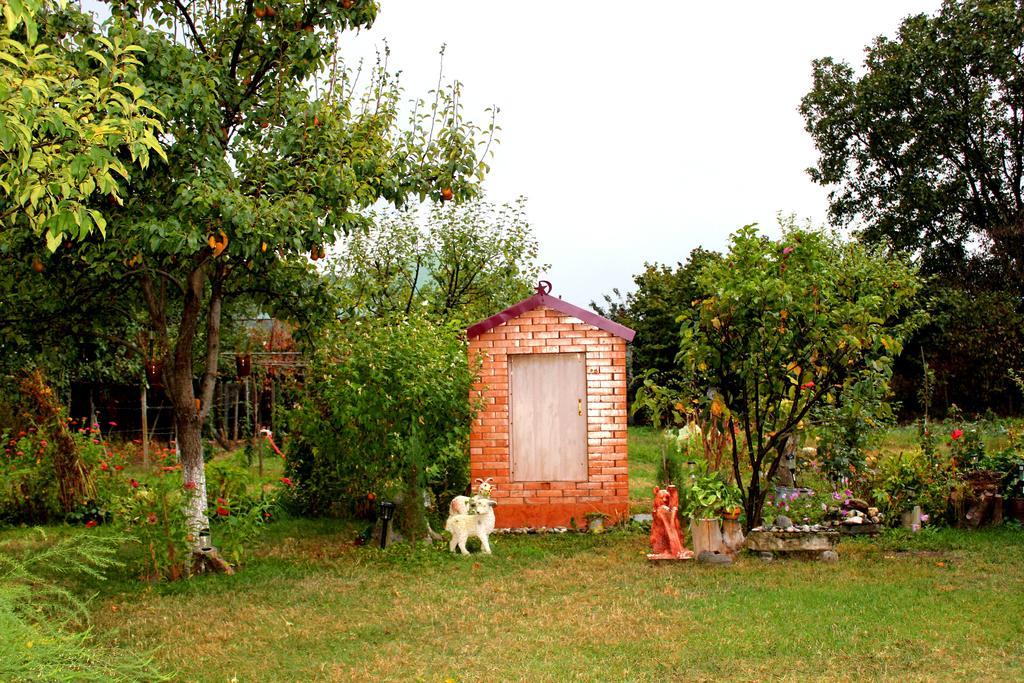 Duisi Guest House Melissa מראה חיצוני תמונה