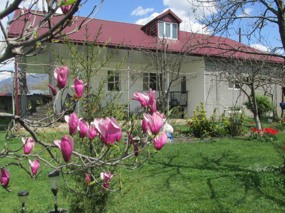 Duisi Guest House Melissa מראה חיצוני תמונה
